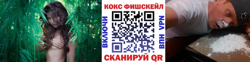 COCAIN 98% Сосновка