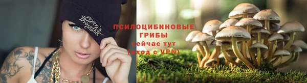 spice Алексин