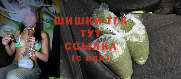 гидра Алексеевка
